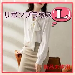 レディース ブラウス シフォン シアー シャツ トップス 長袖 Ｌ