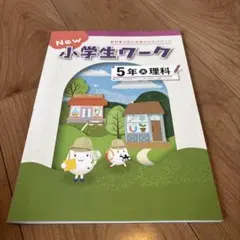 専用　5年テスト未使用 2026年最新】小学5年生 テストの人気アイテム - メルカリ