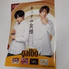 明治 ガルボ　クリアファイル