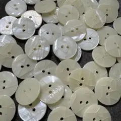 Item thumbnail for item 6c4f364d-3c5d-4bca-8189-250860e3ca22