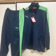 Item thumbnail for item 2d8560f7-1b38-4a53-bd70-b2c3c3fe5c12