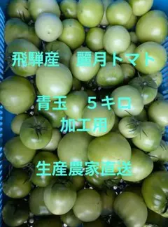 飛騨産　麗月トマト青玉５キロ　生産農家直送のサムネイル