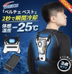 Item thumbnail for item ca4ab90a-d729-4f2b-949d-4e17380d4e6b