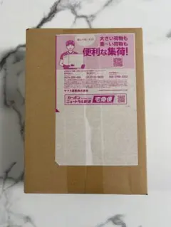 ポケモンカード ニンジャスピナー　未開封シュリンク付きBOX