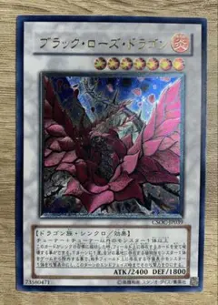 2026年最新】レリーフ ブラックローズドラゴンの人気アイテム - メルカリ