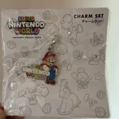 USJ SUPER NINTENDO WORLD チャーム マリオ