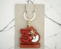 ポケモン ポケチャーム30周年ロゴマスコット ヒコザル ②