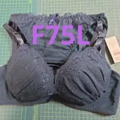 チュチュアンナtutuannaブラ&ショーツセットF75L新品タグ付き