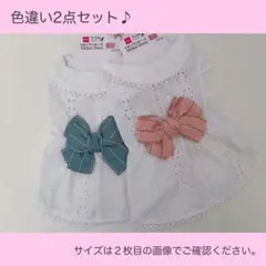 Item thumbnail for item 5613d1c4-d1c9-49dc-a7dd-be14dd961092