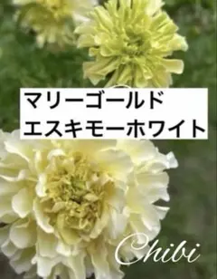 ♡LOVE&PEACE♡^ - ^♡必読様 リクエスト 2点 まとめ商品