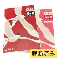 2026年最新】四谷大塚 予習シリーズ 裁断済の人気アイテム - メルカリ