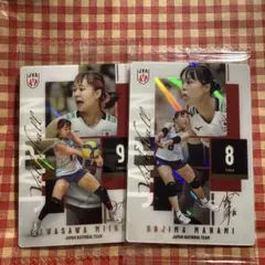 2枚セット