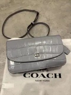 COACH ショルダーバッグ　ショルダー付き長財布