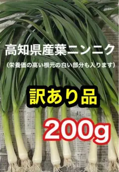 高知県産葉にんにく　葉ニンニク　野菜　産地直送200jdmatのサムネイル