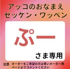 ぷーさま専用 おなまえゼッケン アイロン接着 №
