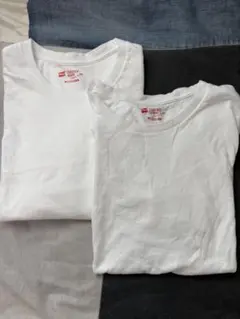 HANES / ヘインズ 2枚セット　クルーネックロングスリーブ ロンT
