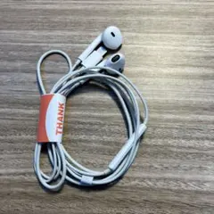 Apple 純正 有線イヤホン ライトニング（右側故障）