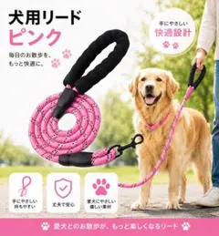 犬用リード　幅1cm/1.2cm 360℃回転金具付き　ペット用品　【ピンク】のサムネイル