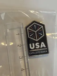 2025年最新】アメリカパビリオンの人気アイテム - メルカリ