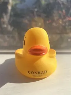 コンラッドダック:シンガポール