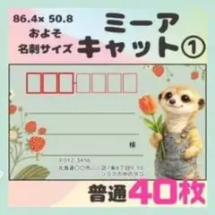 ミーアキャット 名刺サイズ シール 40枚入
