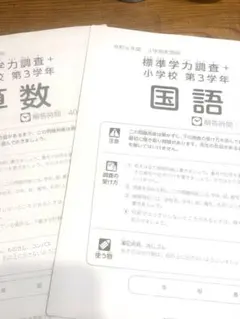 Item thumbnail for item 3c953cc9-de52-4498-b3c7-901c83206210