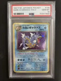 2026年最新】わるいギャラドス psa10の人気アイテム - メルカリ