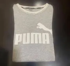 Item thumbnail for item c1a5b8d3-2de2-4667-9411-8782123842a7