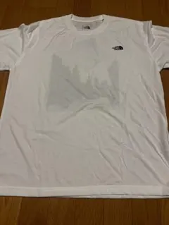 ノースフェイス ホワイト Tシャツ 自然風景
