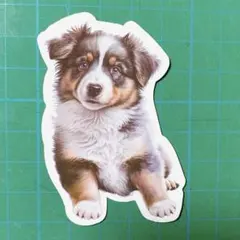 シェルティ 防水 かわいい イラスト 犬 シール ステッカー ペット