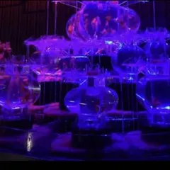 Item thumbnail for item d9bf001c-40dc-44db-9b29-262d8c6b43c2