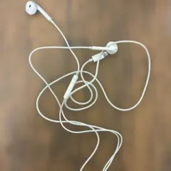 Apple EarPods with Lightning 本体