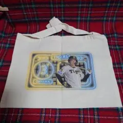 Item thumbnail for item edbc5ece-ba12-47d9-ab32-121846287e9f