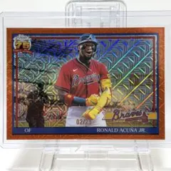 2026年最新】アクーニャJR toppsの人気アイテム - メルカリ