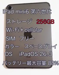 iPad mini 6 第六世代 256GB スペースグレイ