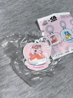 【キャッチ！ティニピン】くら寿司 アクセサリーチャーム ハチュピン