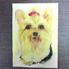 アクリル画 ボーダーコリー 犬アート 動物 キャンバスボードF3号 BAEZ3