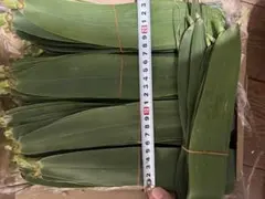 パンダンリーフの葉10枚 生パンダンリーフの葉10枚 - メルカリ
