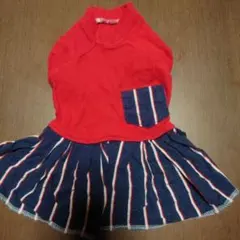 犬服 赤と青のストライプ スカート付き