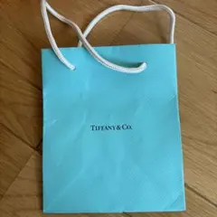 Tiffany & Co. 水色 ショッピングバッグ