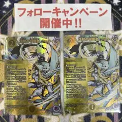 沈黙の守護者 シュタイン シークレット 2枚 ②