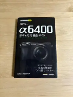 Item thumbnail for item 741d7449-aef2-42fd-a270-ff63c8f31a16