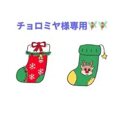 チョロミヤ様 リクエスト 3点 まとめ商品