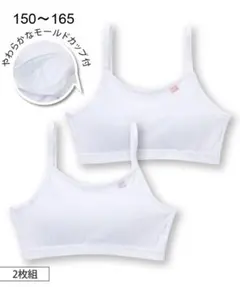 Item thumbnail for item 6c2c46e7-4c26-443c-a65f-5c282b2931ab