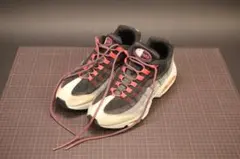 【即購入可】NIKE／ナイキ／シューズ／スニーカー／AIR MAX 95／29