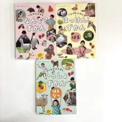 つながるえほん 3冊セット ミニ図鑑