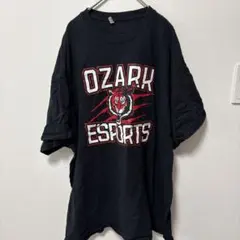 ギルダン 半袖Tシャツ虎柄 クルーネック ビッグサイズ XL 相当黒ストリート
