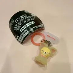 StrayKids SKZOO めじるしアクセサリー 雲ver. フォクシニー