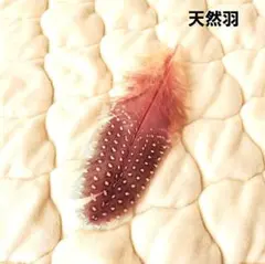 天然羽　ハンドメイド　羽　　I　　ビーズ　手芸　材料　デコレーション
