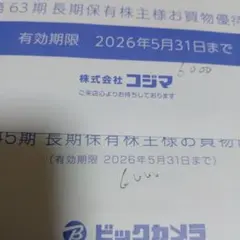 ビックカメラ 株主優待コジマ計１２０００円